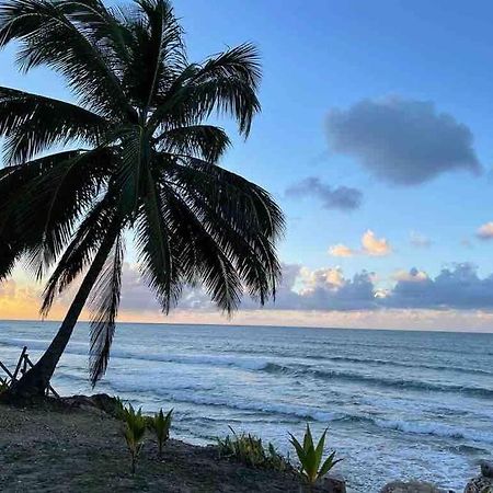 My Dream Beach House Aguada Exteriör bild