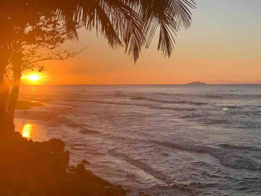 My Dream Beach House Aguada Exteriör bild